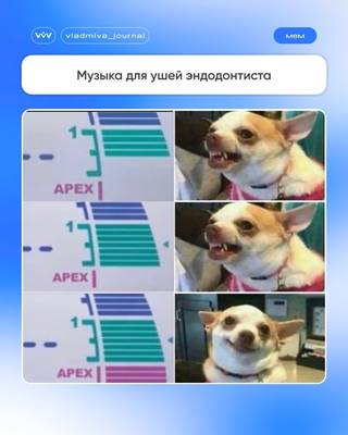 Анестезия не помогла? Это не мем, а реальность.